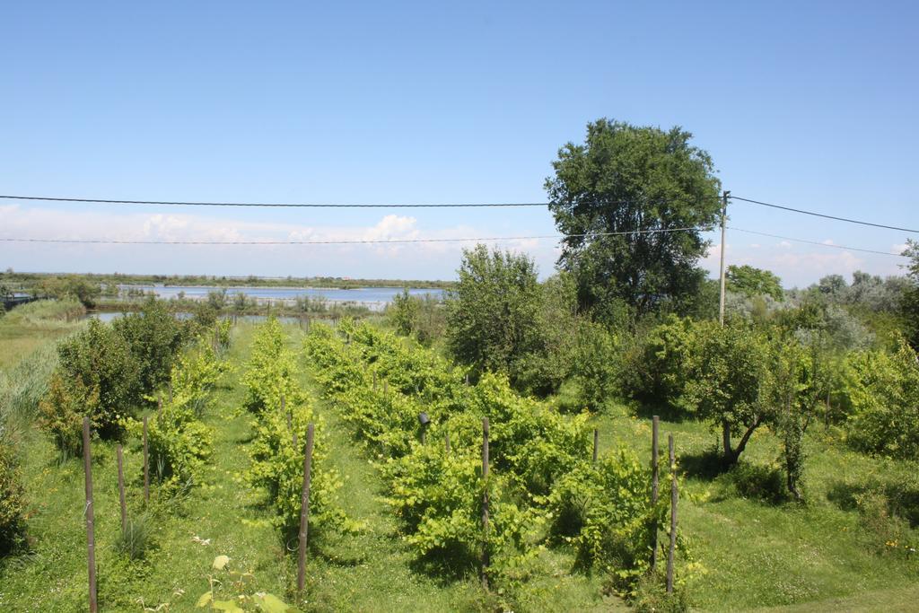 Tenuta Lio Maggiore Τζεσόλο Λίντο Εξωτερικό φωτογραφία