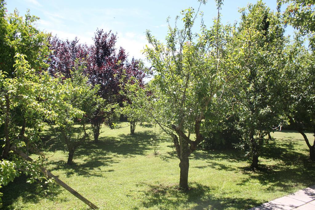 Tenuta Lio Maggiore Τζεσόλο Λίντο Εξωτερικό φωτογραφία