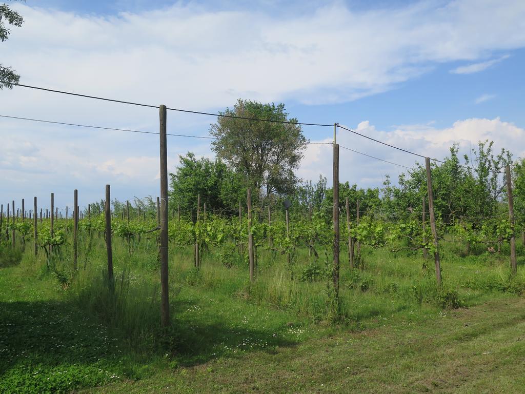 Tenuta Lio Maggiore Τζεσόλο Λίντο Εξωτερικό φωτογραφία